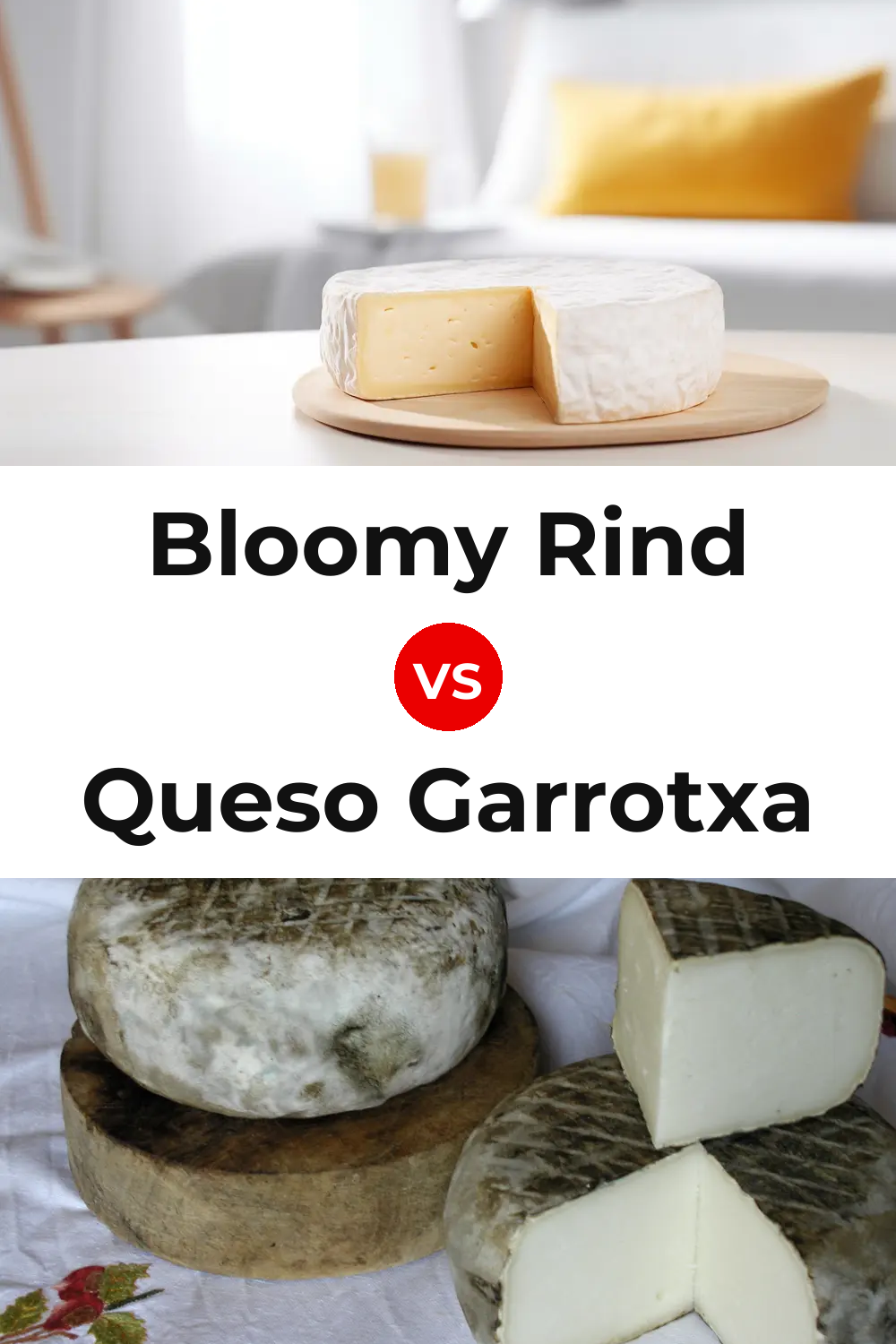 Bloomy Rind Cheese vs Queso Garrotxa Pinterest comparison