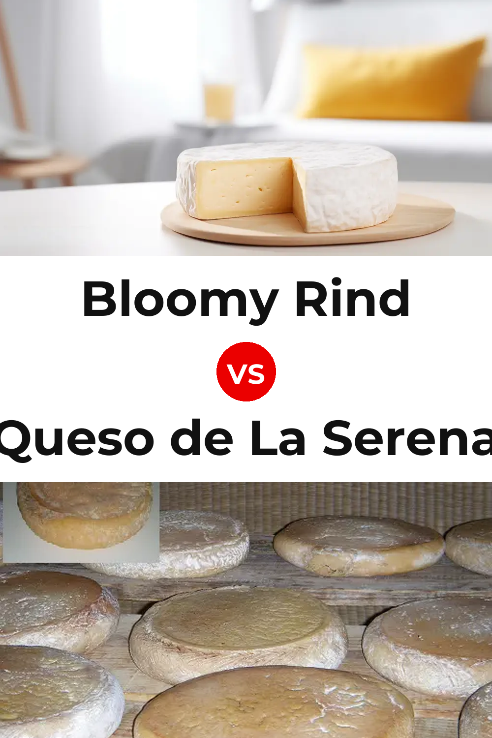 Bloomy Rind Cheese vs Queso de La Serena Pinterest comparison