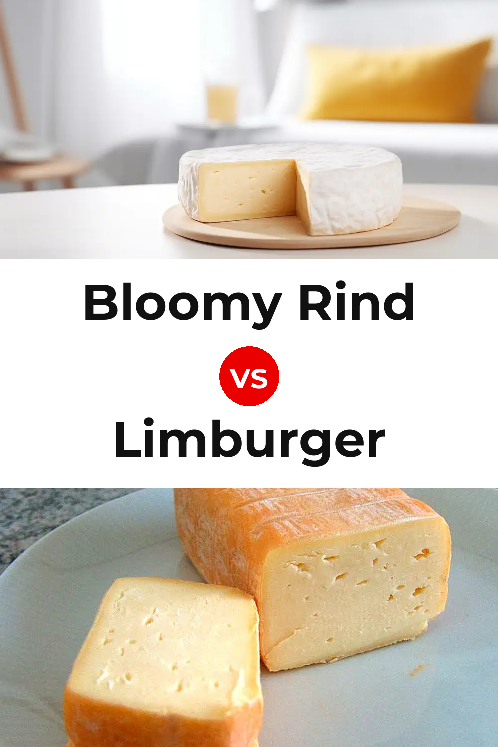 Bloomy Rind Cheese vs Limburger Cheese Pinterest comparison