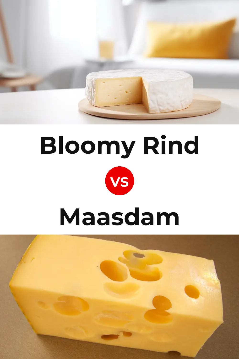 Bloomy Rind Cheese vs Maasdam Cheese Pinterest comparison