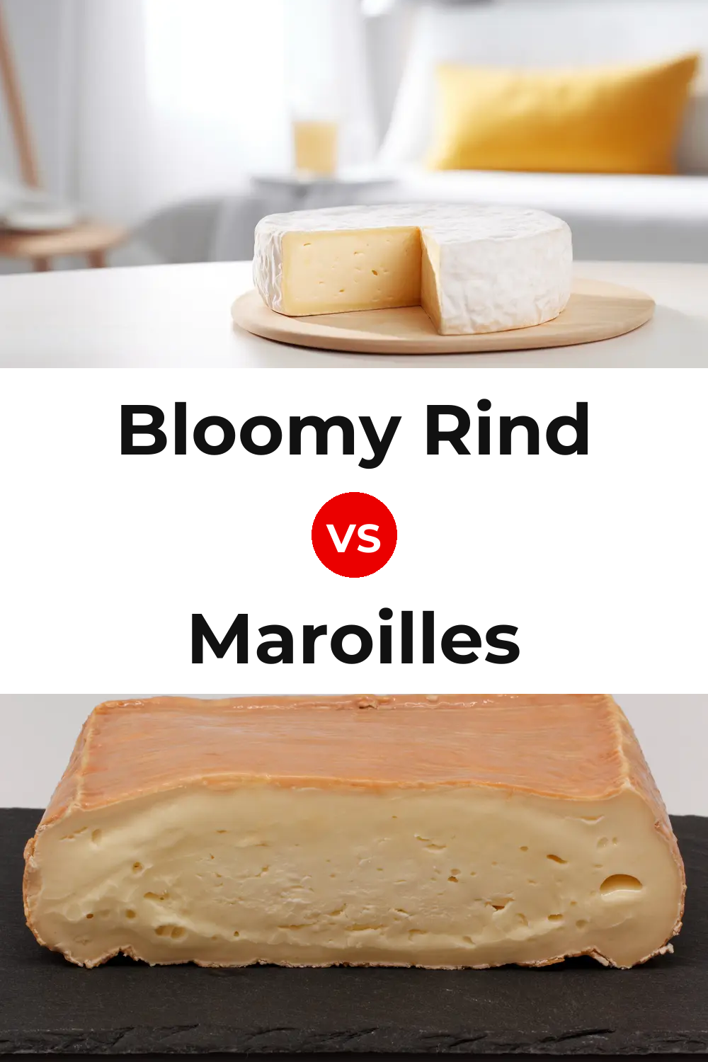 Bloomy Rind Cheese vs Maroilles Cheese Pinterest comparison