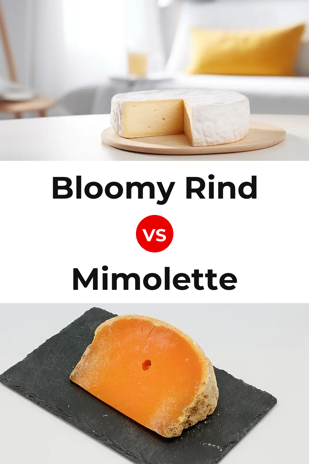 Bloomy Rind Cheese vs Mimolette Cheese Pinterest comparison
