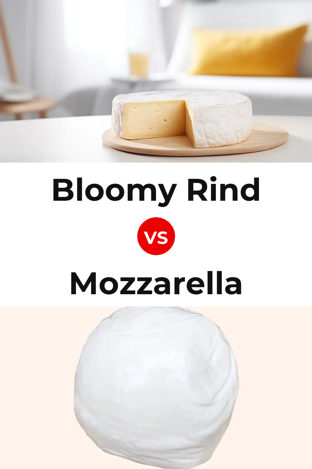 Bloomy Rind Cheese vs Mozzarella Cheese Pinterest comparison