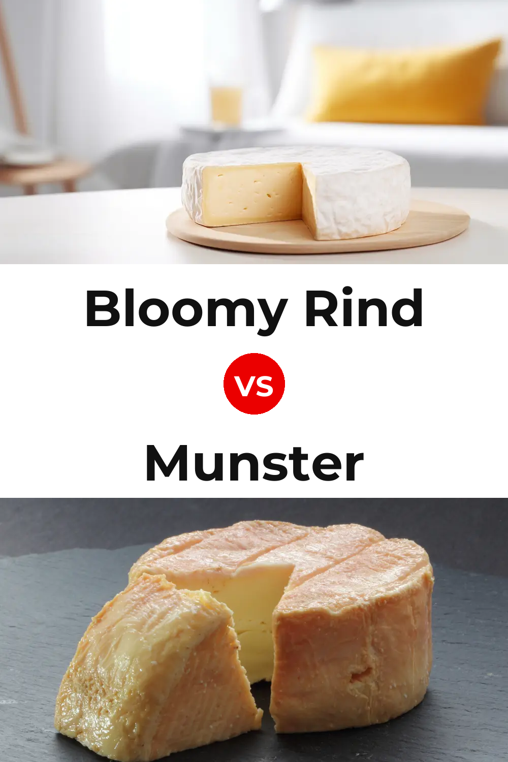 Bloomy Rind Cheese vs Munster Cheese Pinterest comparison