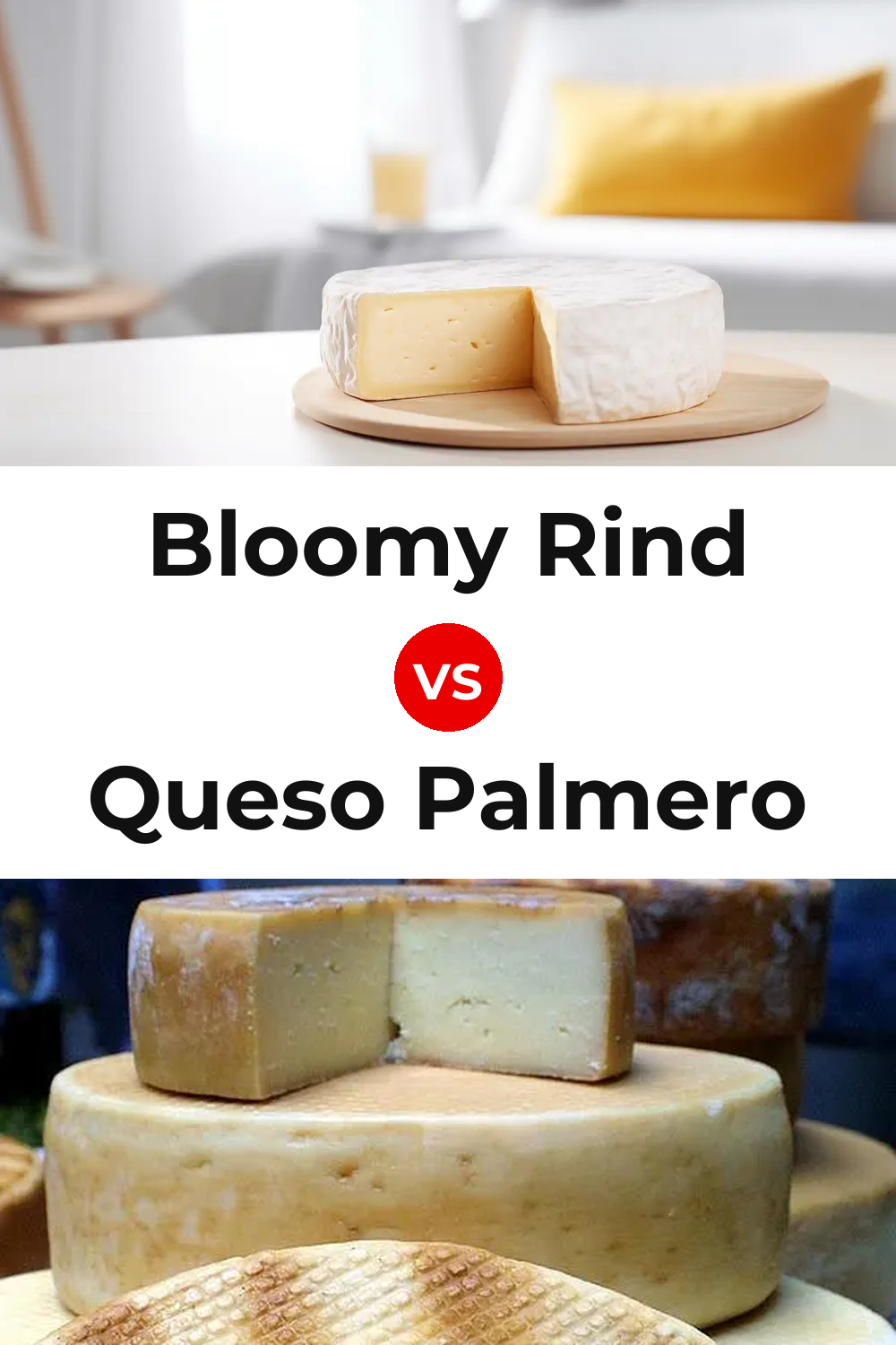 Bloomy Rind Cheese vs Queso Palmero Pinterest comparison
