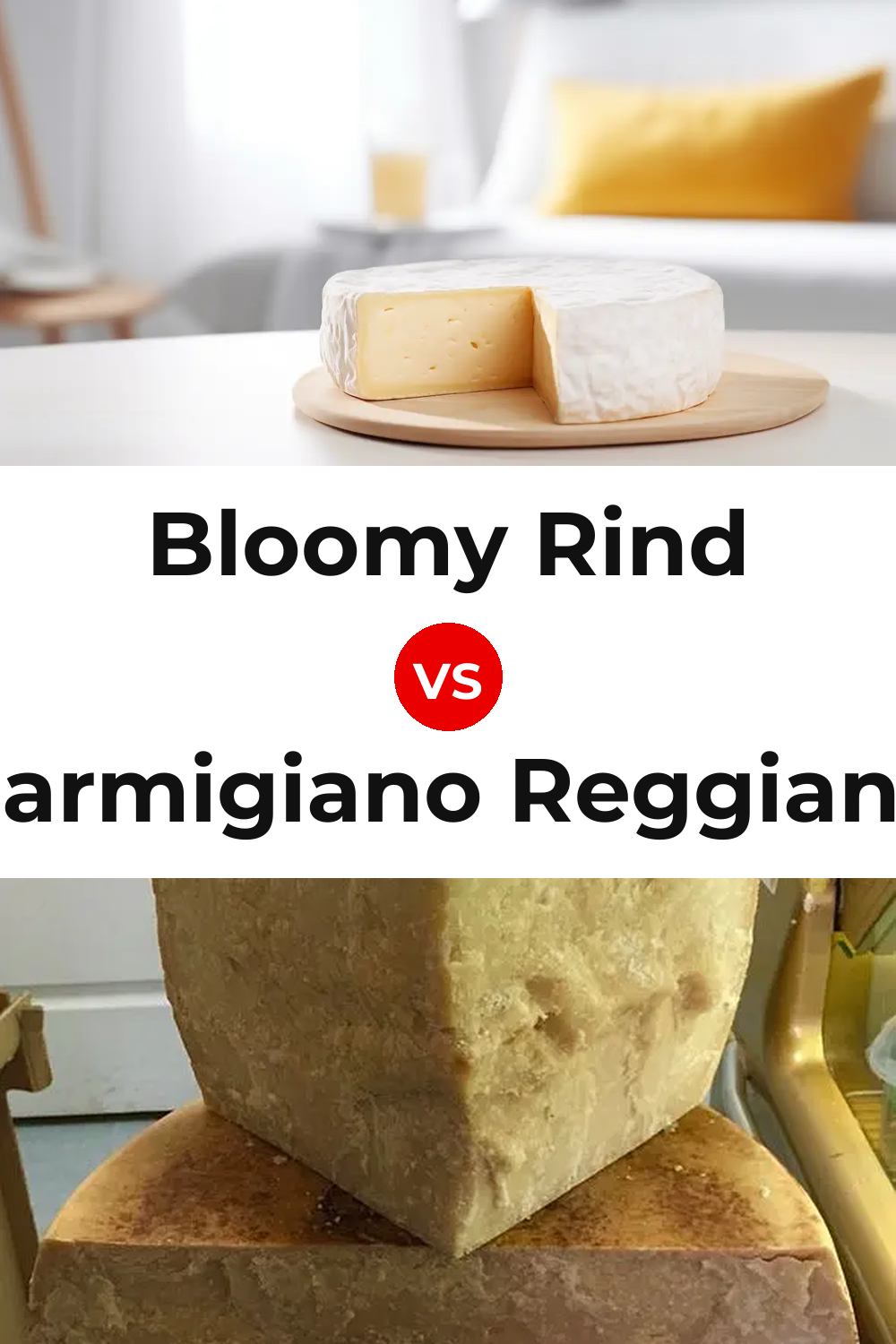 Bloomy Rind Cheese vs Parmigiano Reggiano Cheese Pinterest comparison