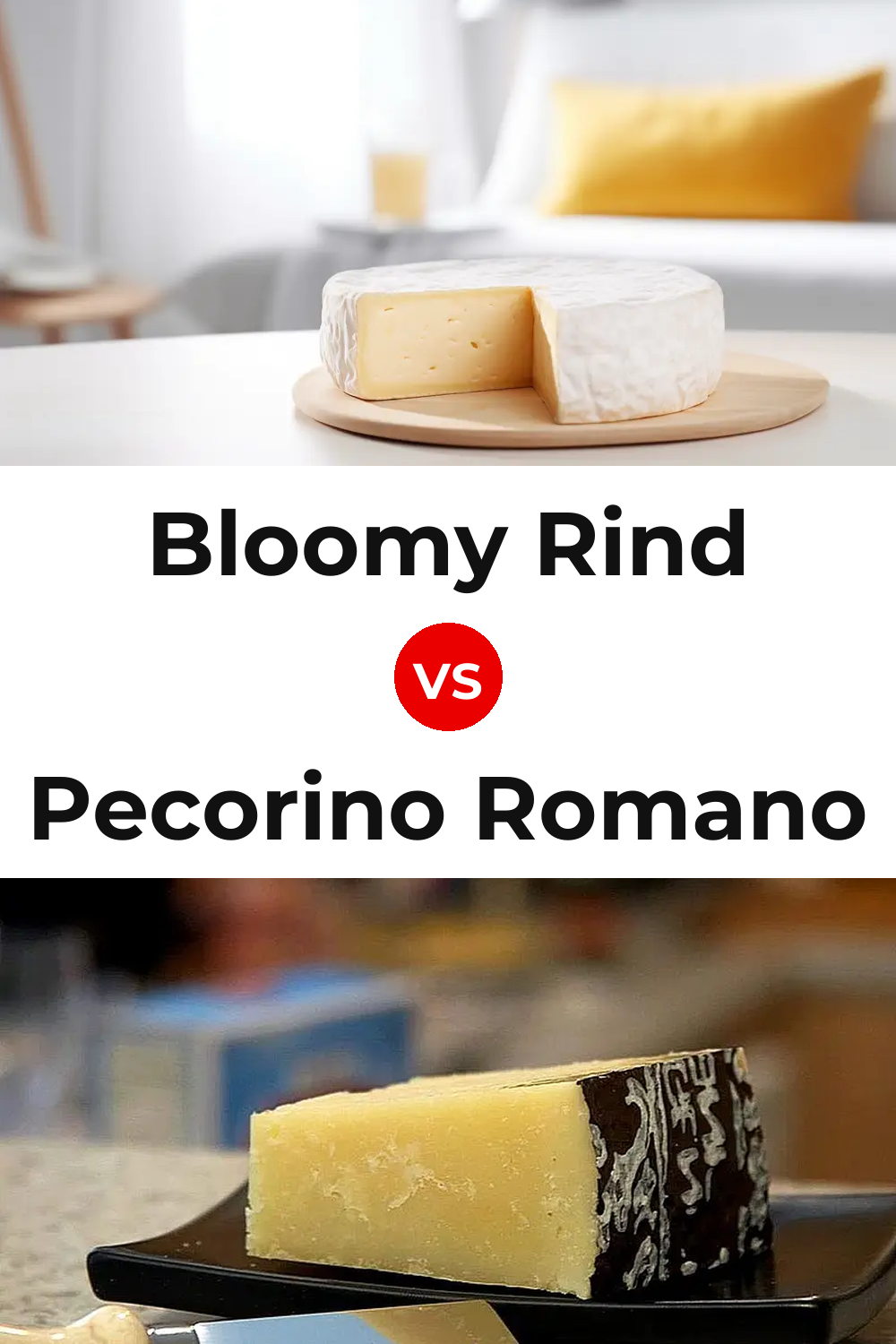 Bloomy Rind Cheese vs Pecorino Romano Cheese Pinterest comparison
