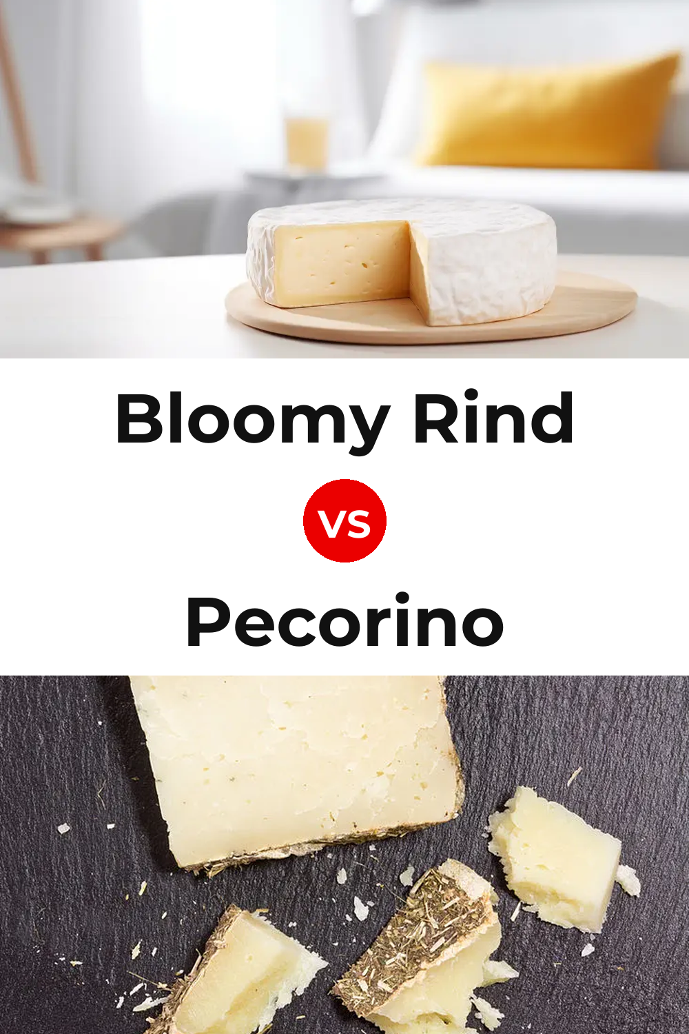Bloomy Rind Cheese vs Pecorino Cheese Pinterest comparison