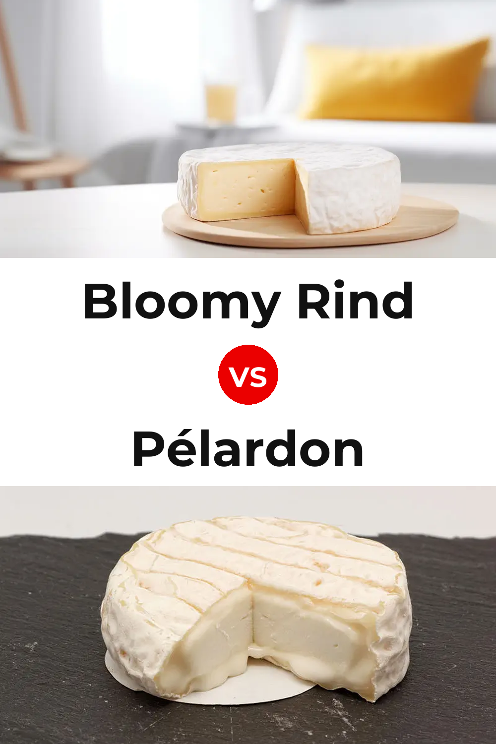 Bloomy Rind Cheese vs Pélardon Cheese Pinterest comparison