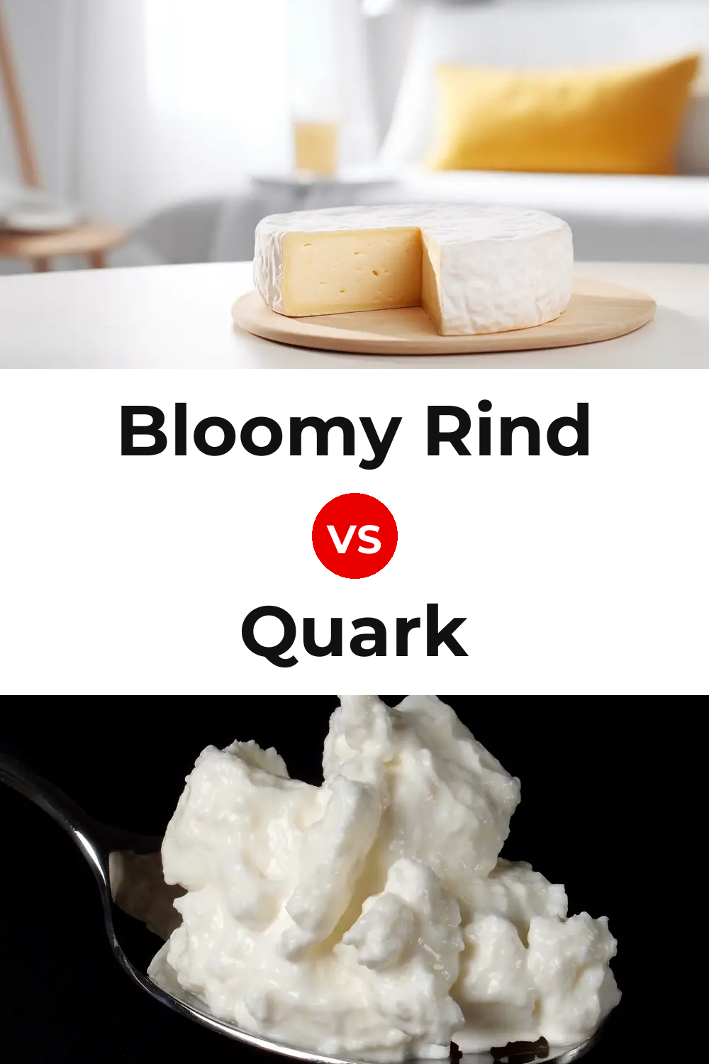Bloomy Rind Cheese vs Quark Cheese Pinterest comparison