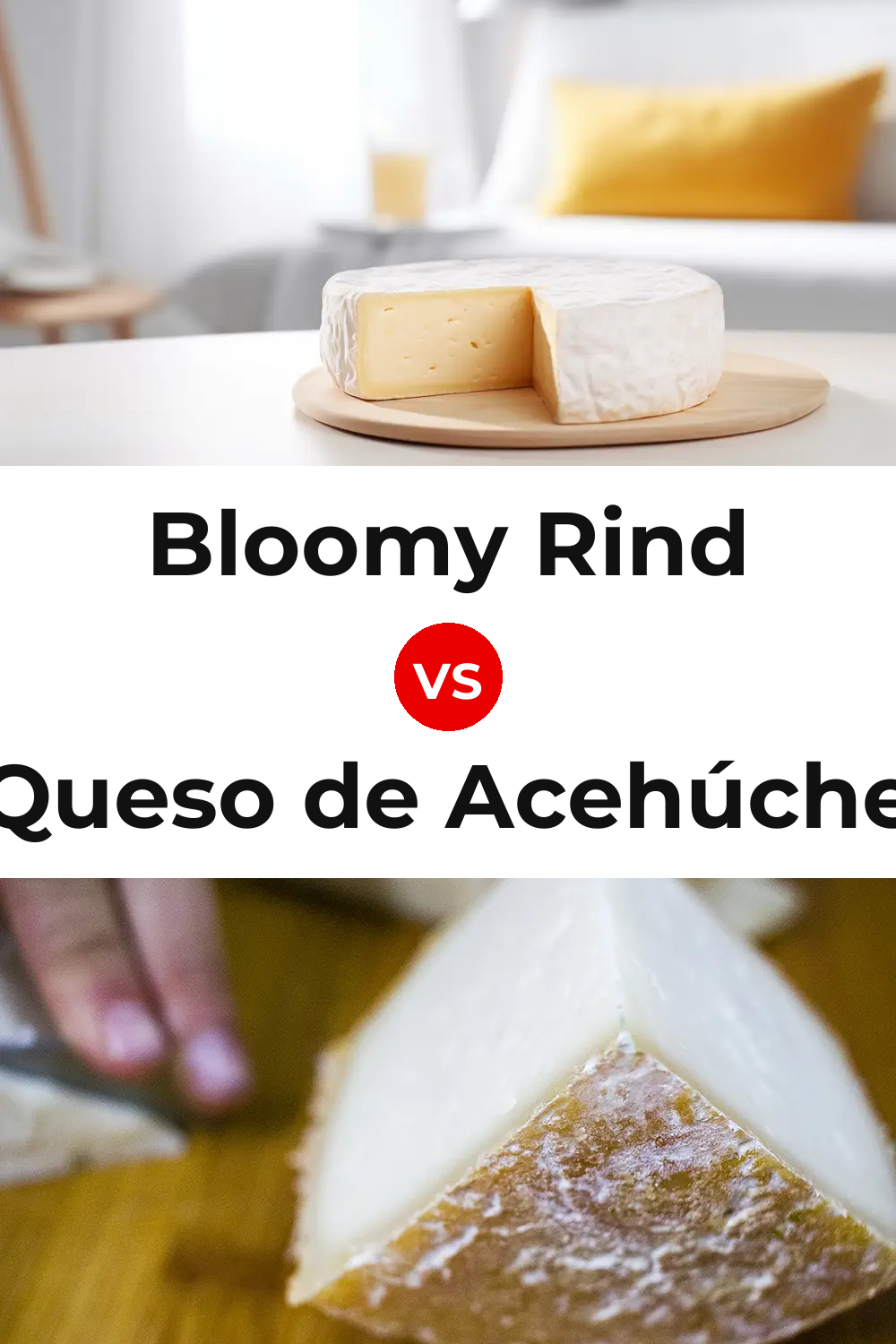 Bloomy Rind Cheese vs Queso de Acehúche Pinterest comparison