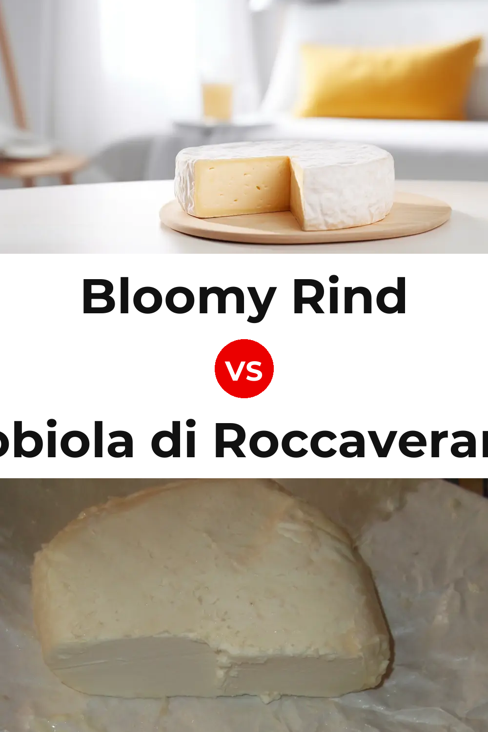 Bloomy Rind Cheese vs Robiola di Roccaverano Cheese Pinterest comparison