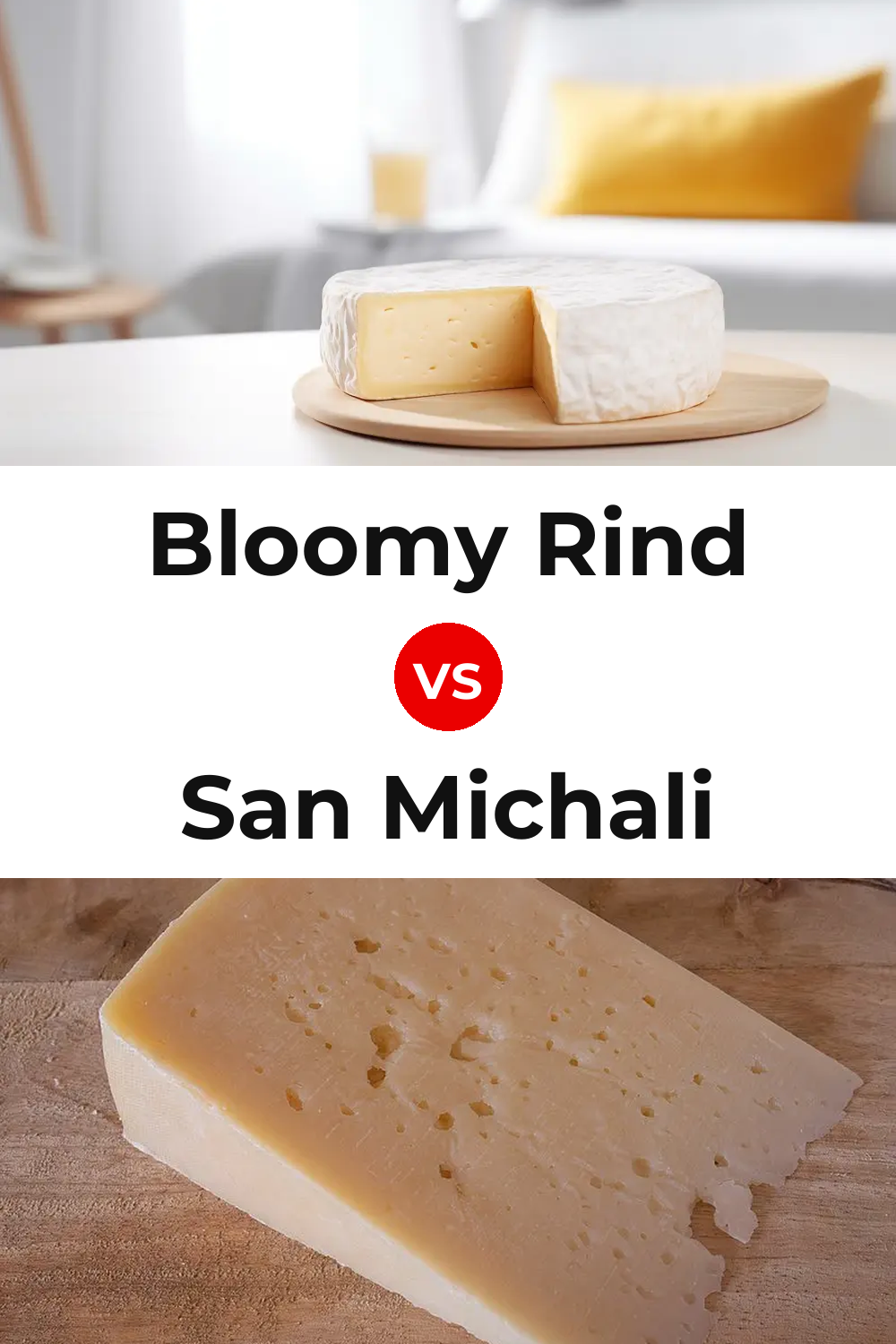 Bloomy Rind Cheese vs San Michali Cheese Pinterest comparison