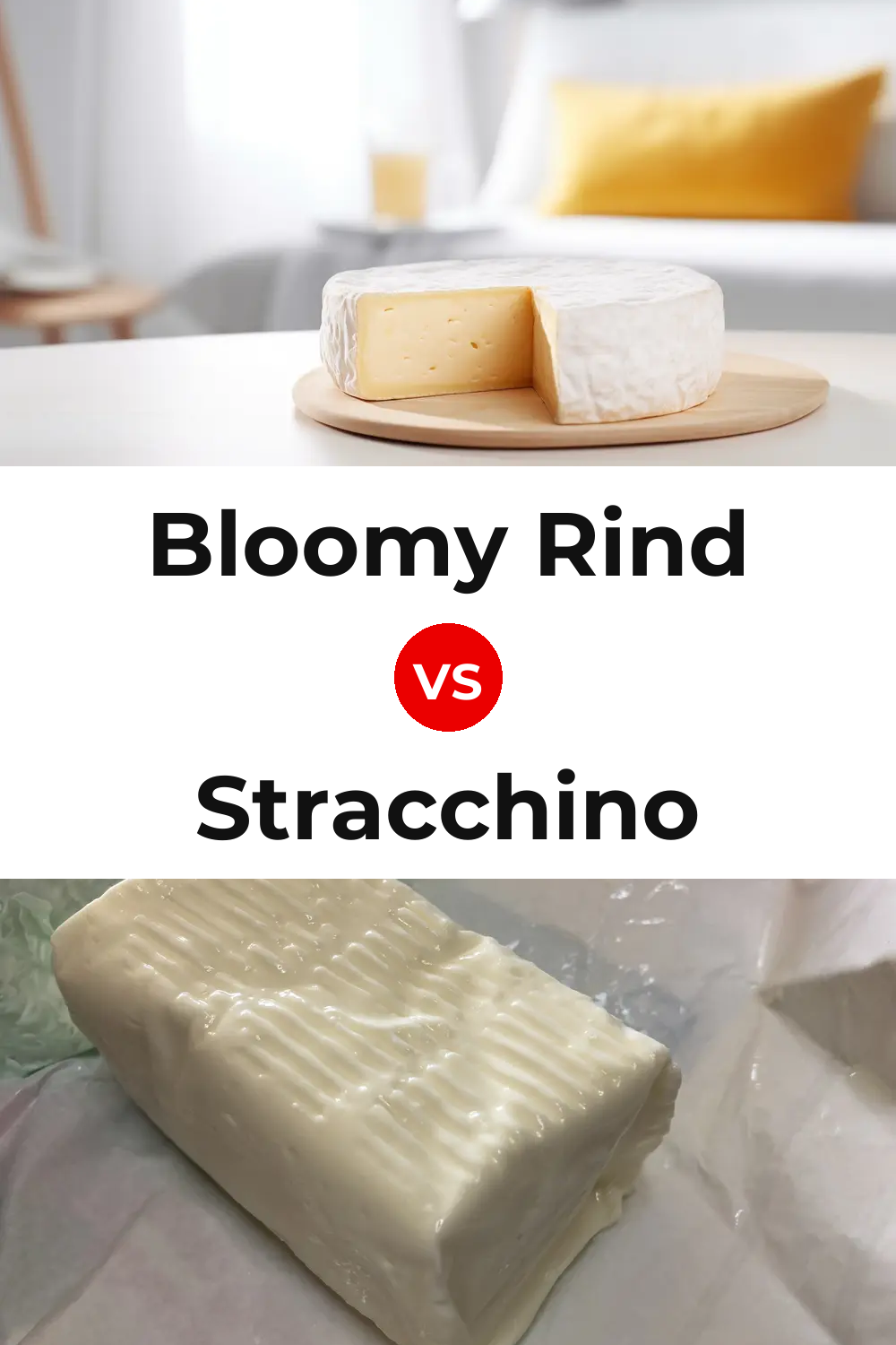 Bloomy Rind Cheese vs Stracchino Cheese Pinterest comparison