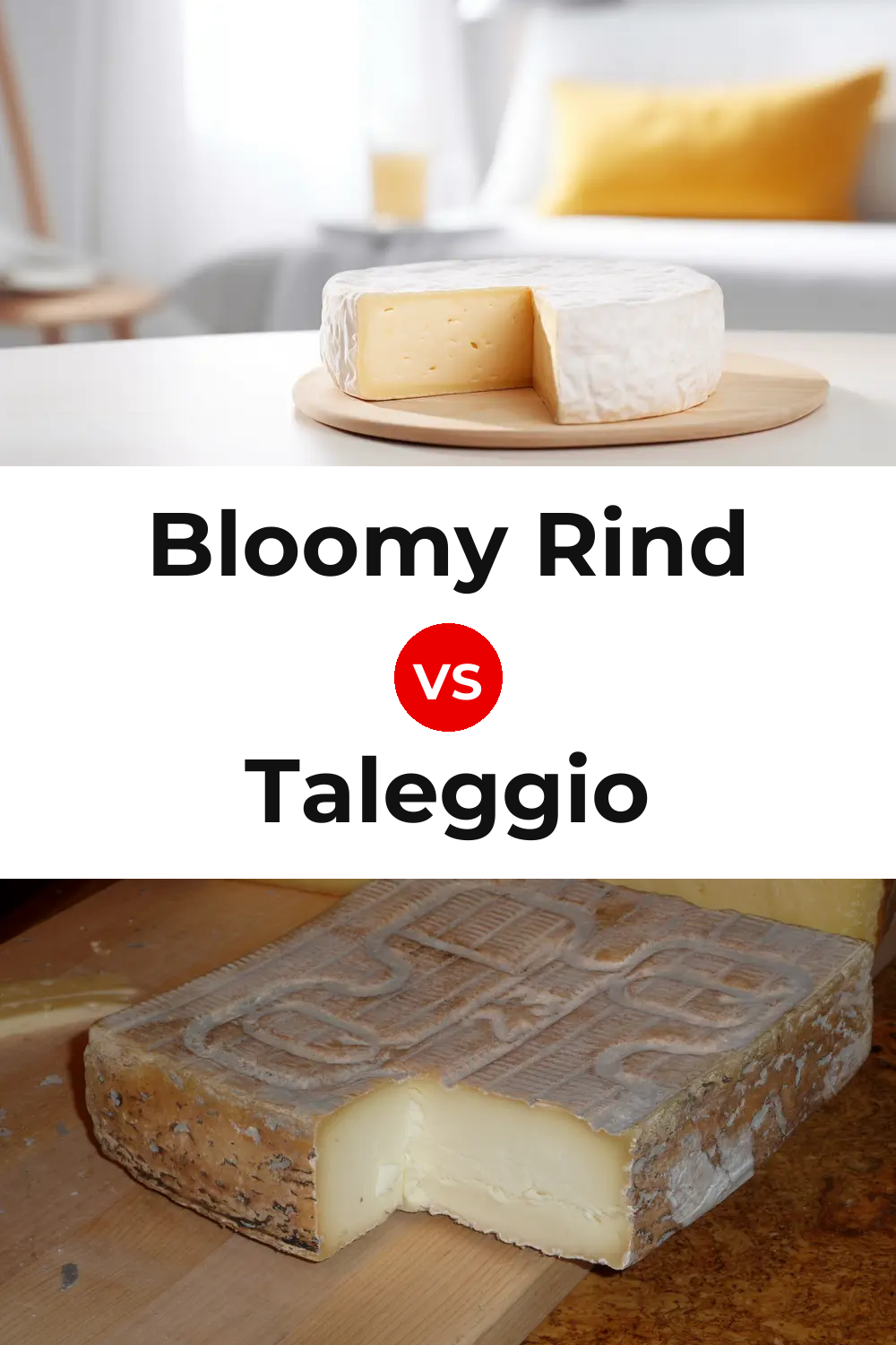 Bloomy Rind Cheese vs Taleggio Cheese Pinterest comparison