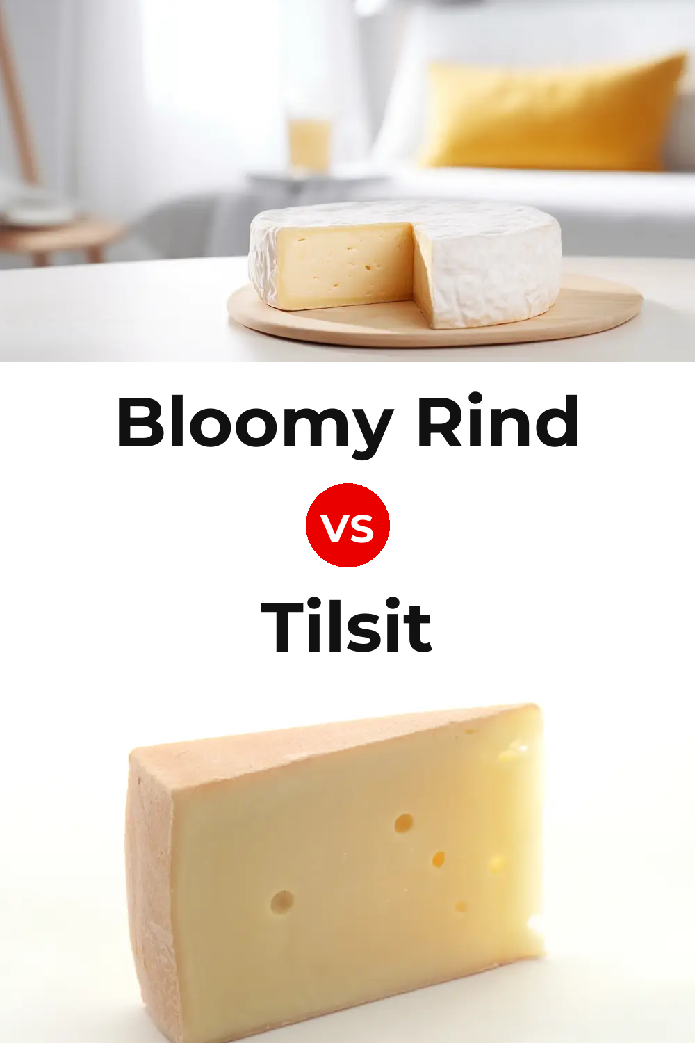 Bloomy Rind Cheese vs Tilsit Cheese Pinterest comparison
