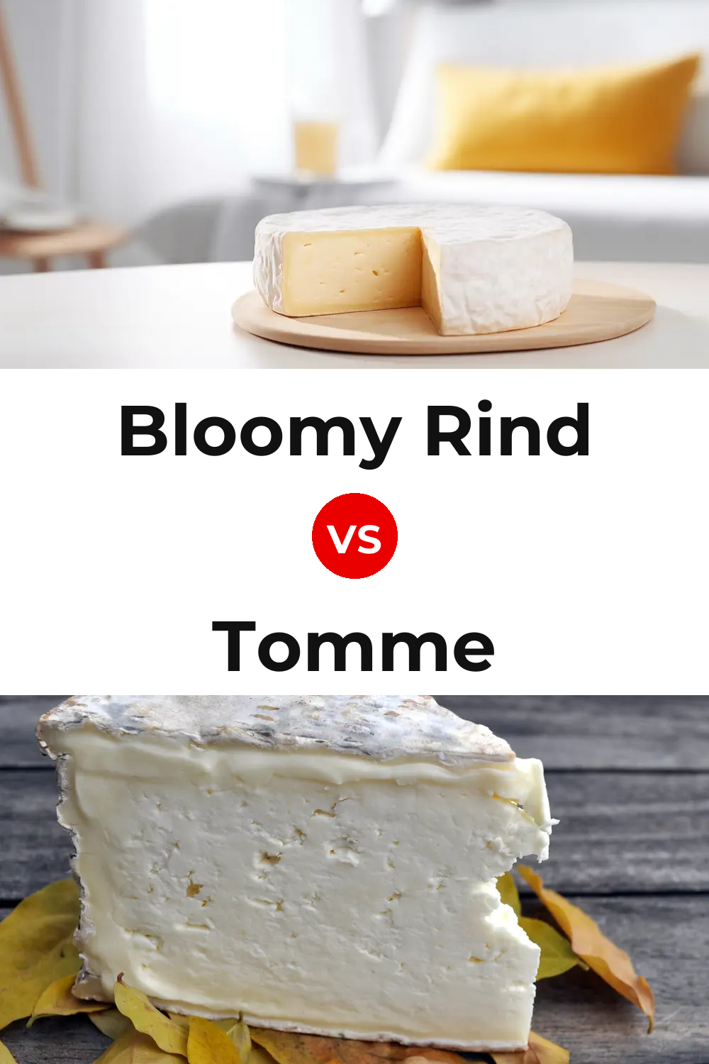 Bloomy Rind Cheese vs Tomme Cheese Pinterest comparison
