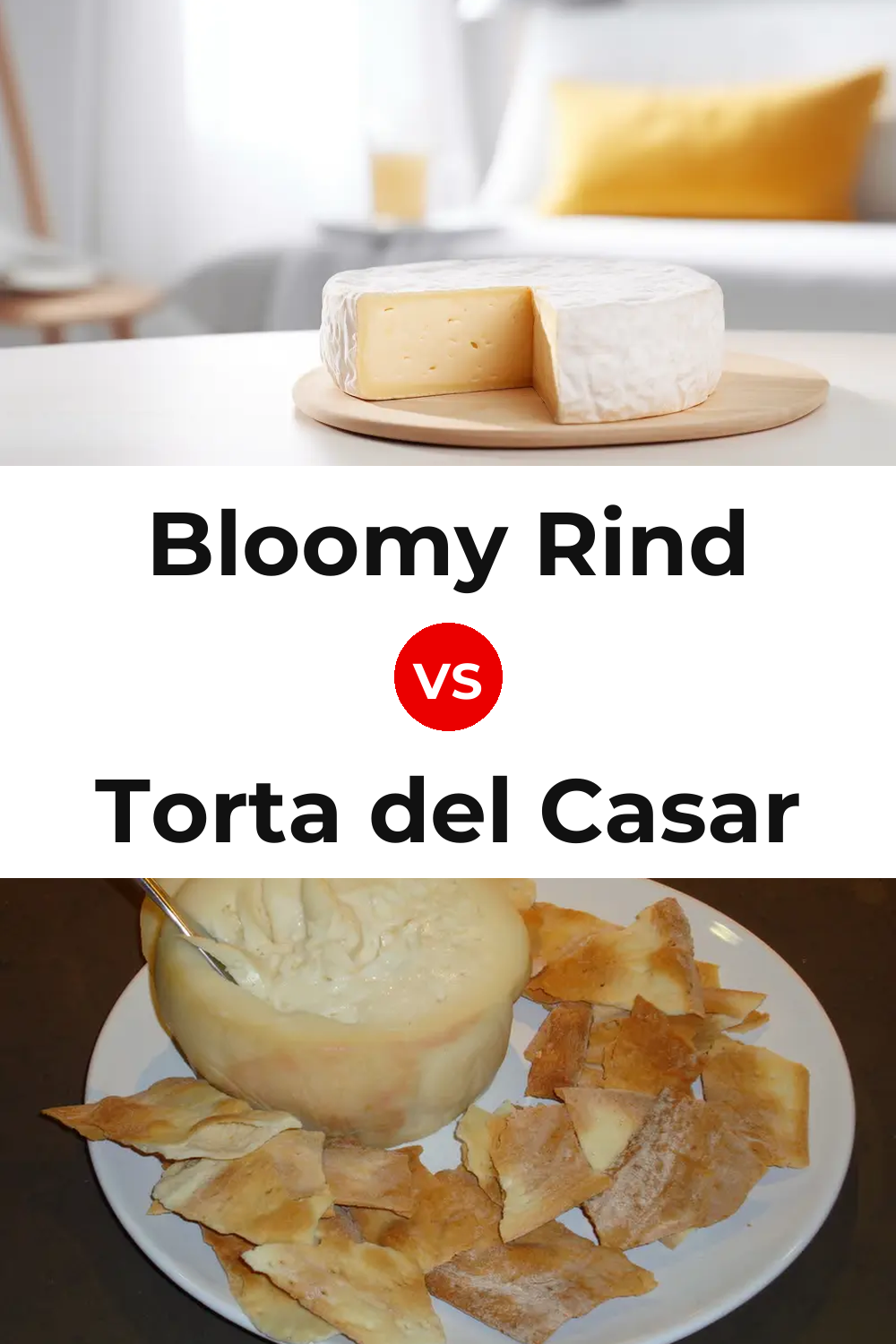 Bloomy Rind Cheese vs Torta del Casar Cheese Pinterest comparison