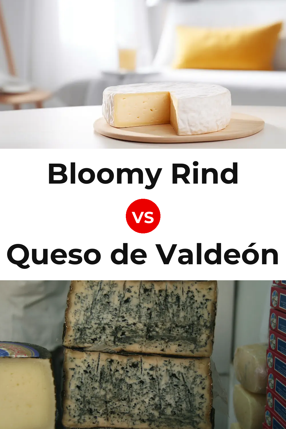 Bloomy Rind Cheese vs Queso de Valdeón Pinterest comparison