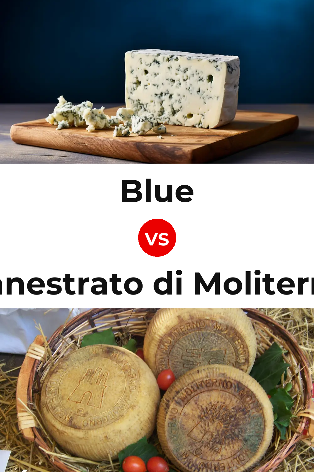 Blue Cheese vs Canestrato di Moliterno Cheese Pinterest comparison