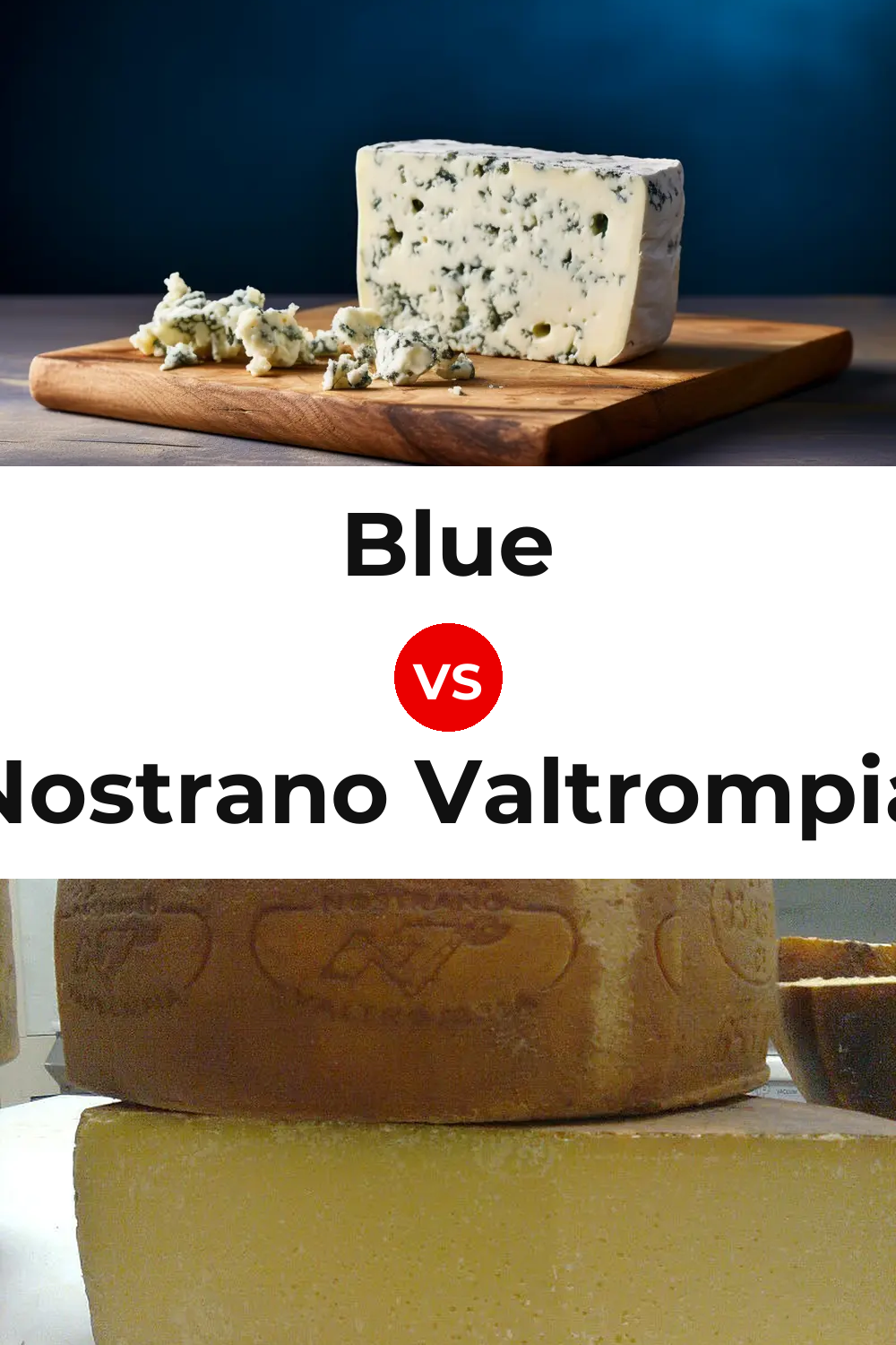 Blue Cheese vs Nostrano Valtrompia Cheese Pinterest comparison