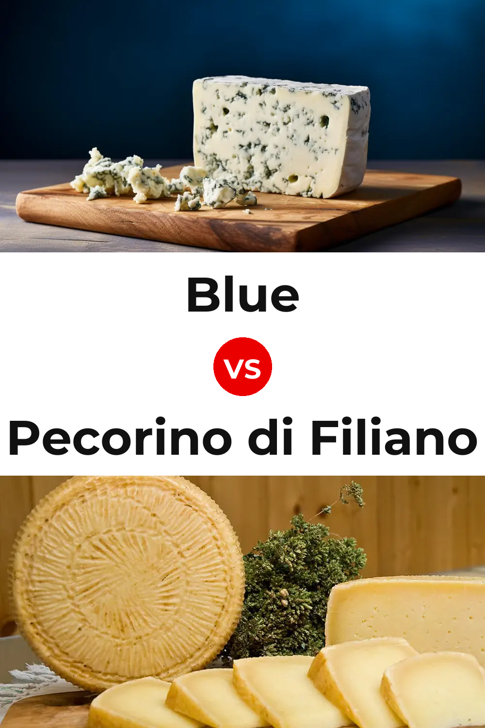 Blue Cheese vs Pecorino di Filiano Cheese Pinterest comparison