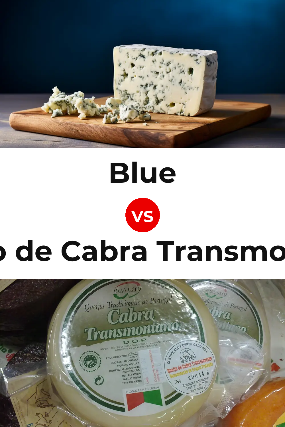 Blue Cheese vs Queijo de Cabra Transmontano Pinterest comparison