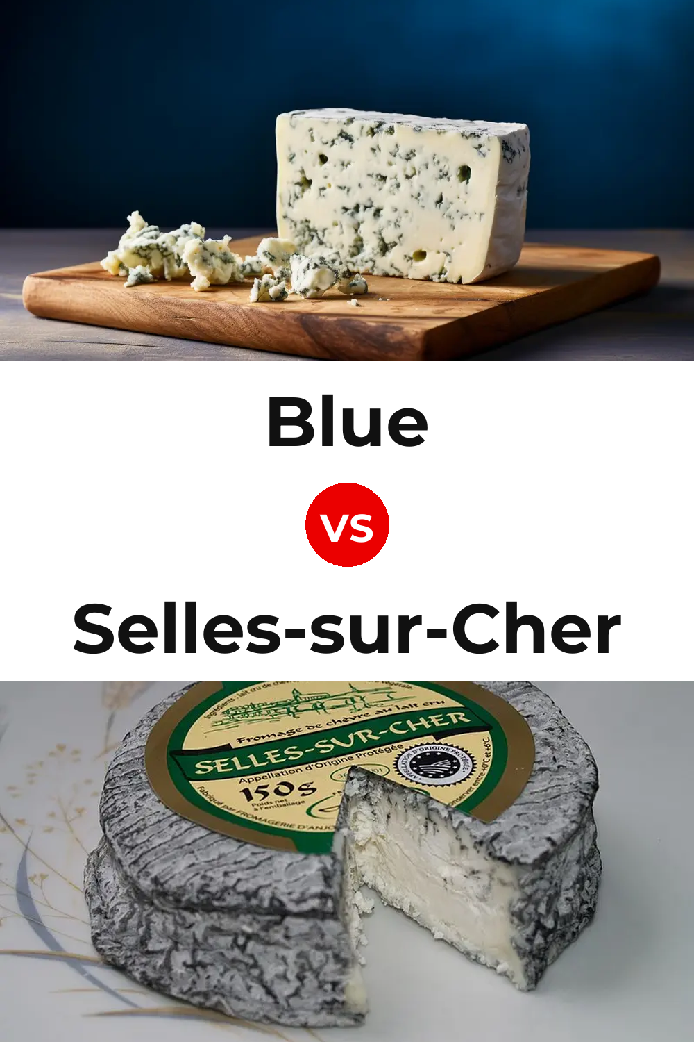 Blue Cheese vs Selles-sur-Cher Cheese Pinterest comparison
