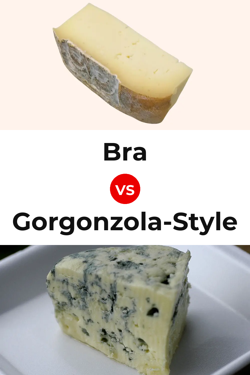Bra Cheese vs Gorgonzola-Style Cheese Pinterest comparison
