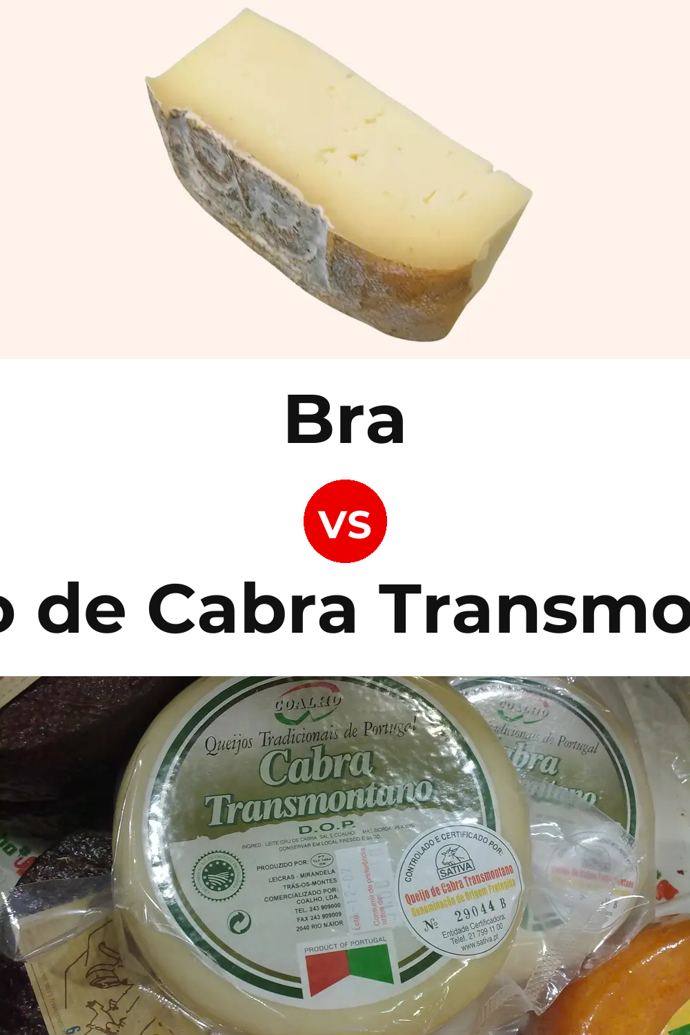 Bra Cheese vs Queijo de Cabra Transmontano Pinterest comparison