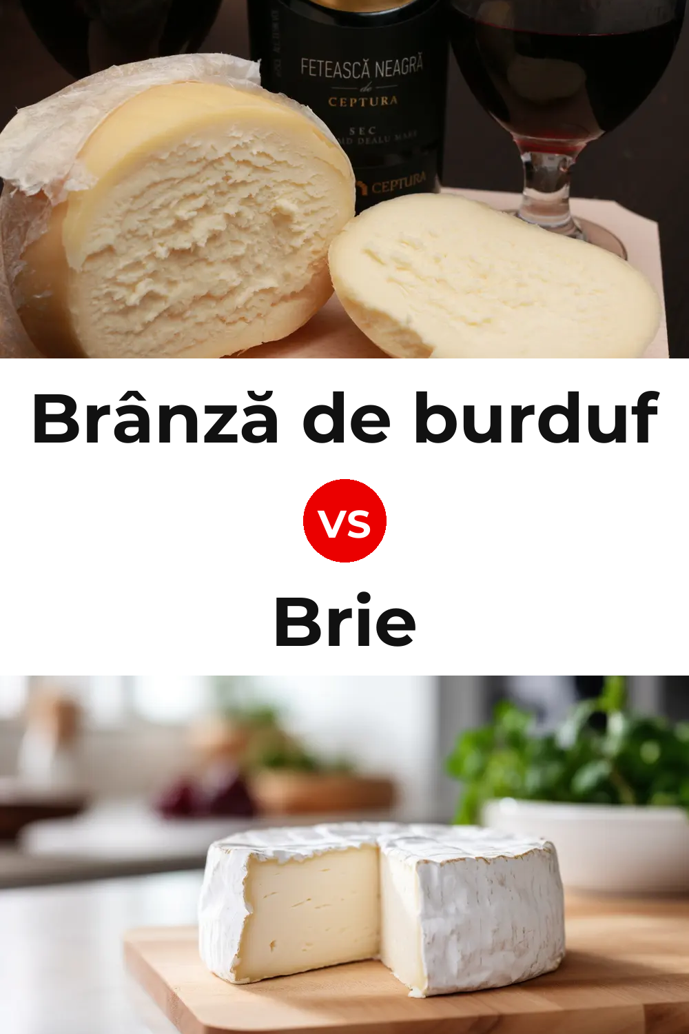 Brânză de burduf Cheese vs Brie Cheese Pinterest comparison