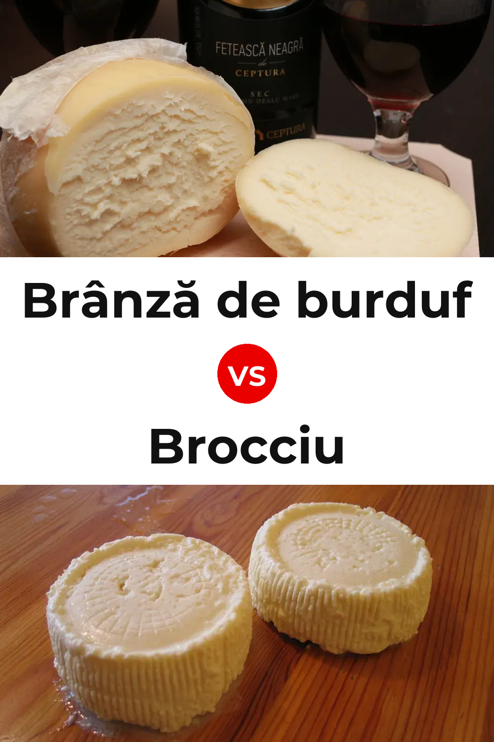 Brânză de burduf Cheese vs Brocciu Cheese Pinterest comparison