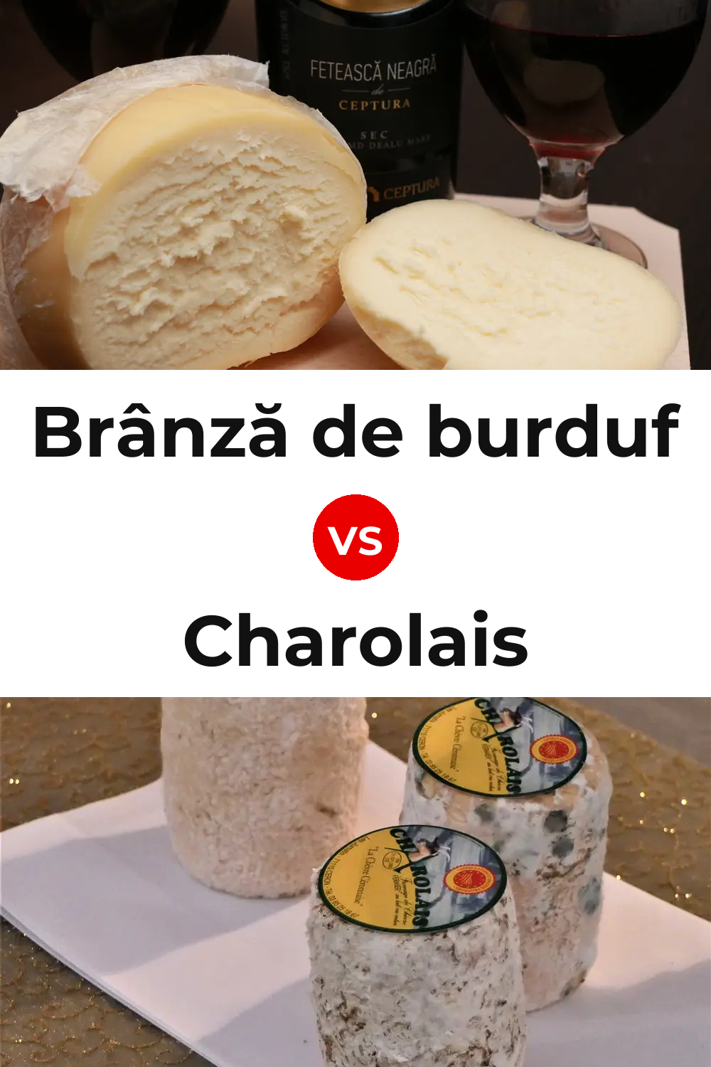 Brânză de burduf Cheese vs Charolais Cheese Pinterest comparison