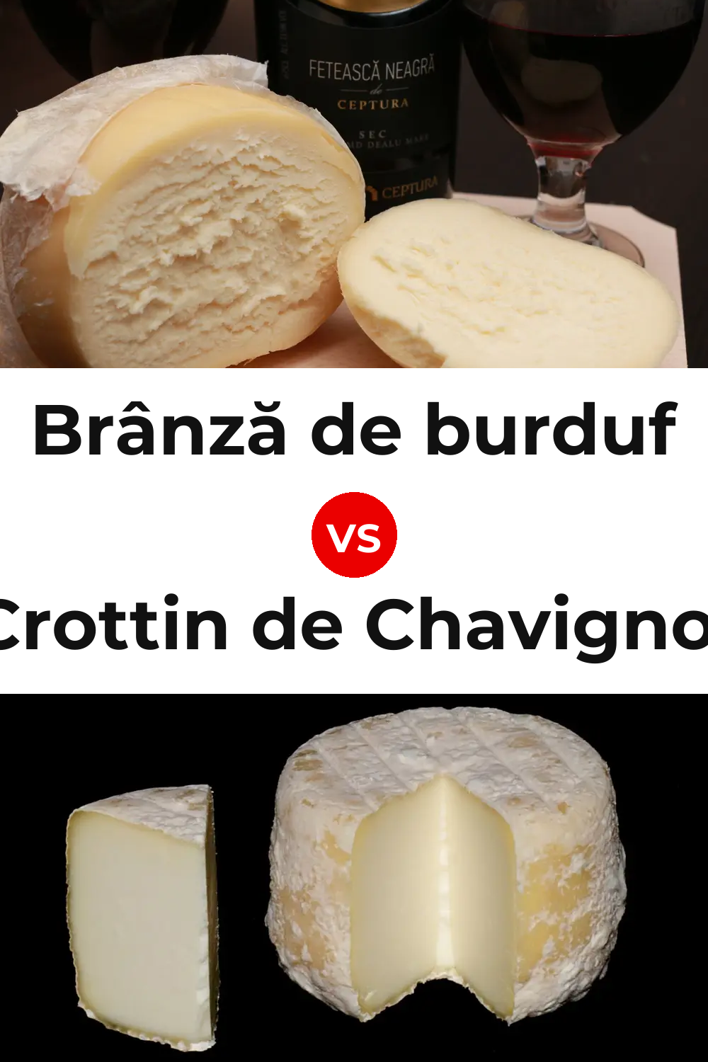 Brânză de burduf Cheese vs Crottin de Chavignol Cheese Pinterest comparison