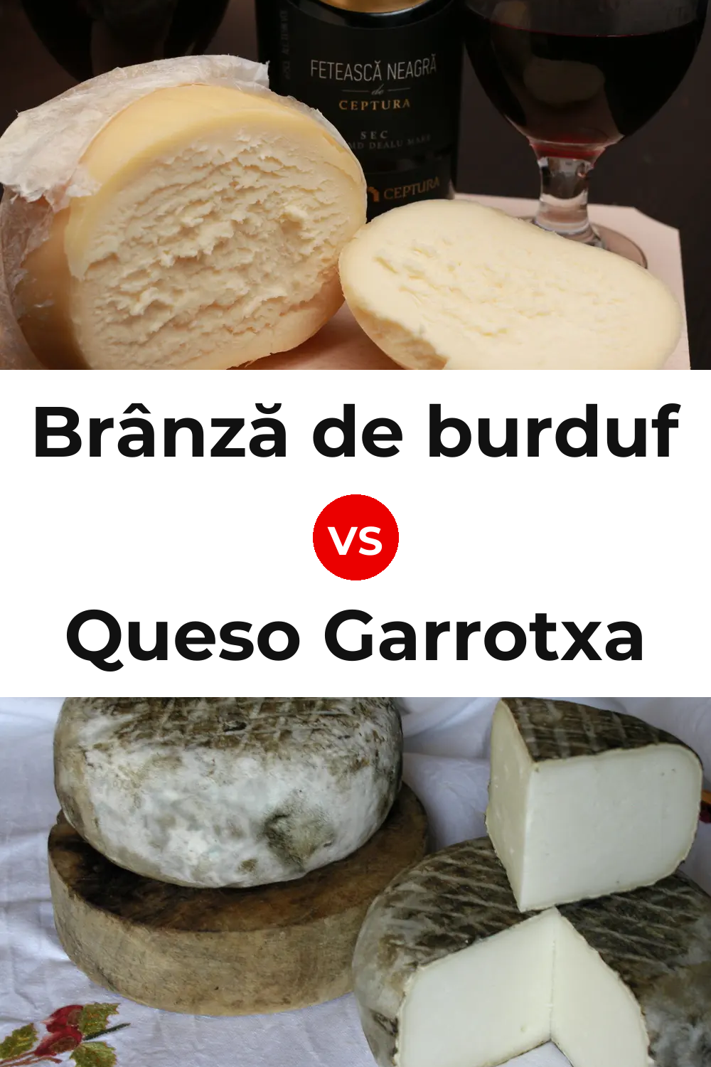 Brânză de burduf Cheese vs Queso Garrotxa Pinterest comparison
