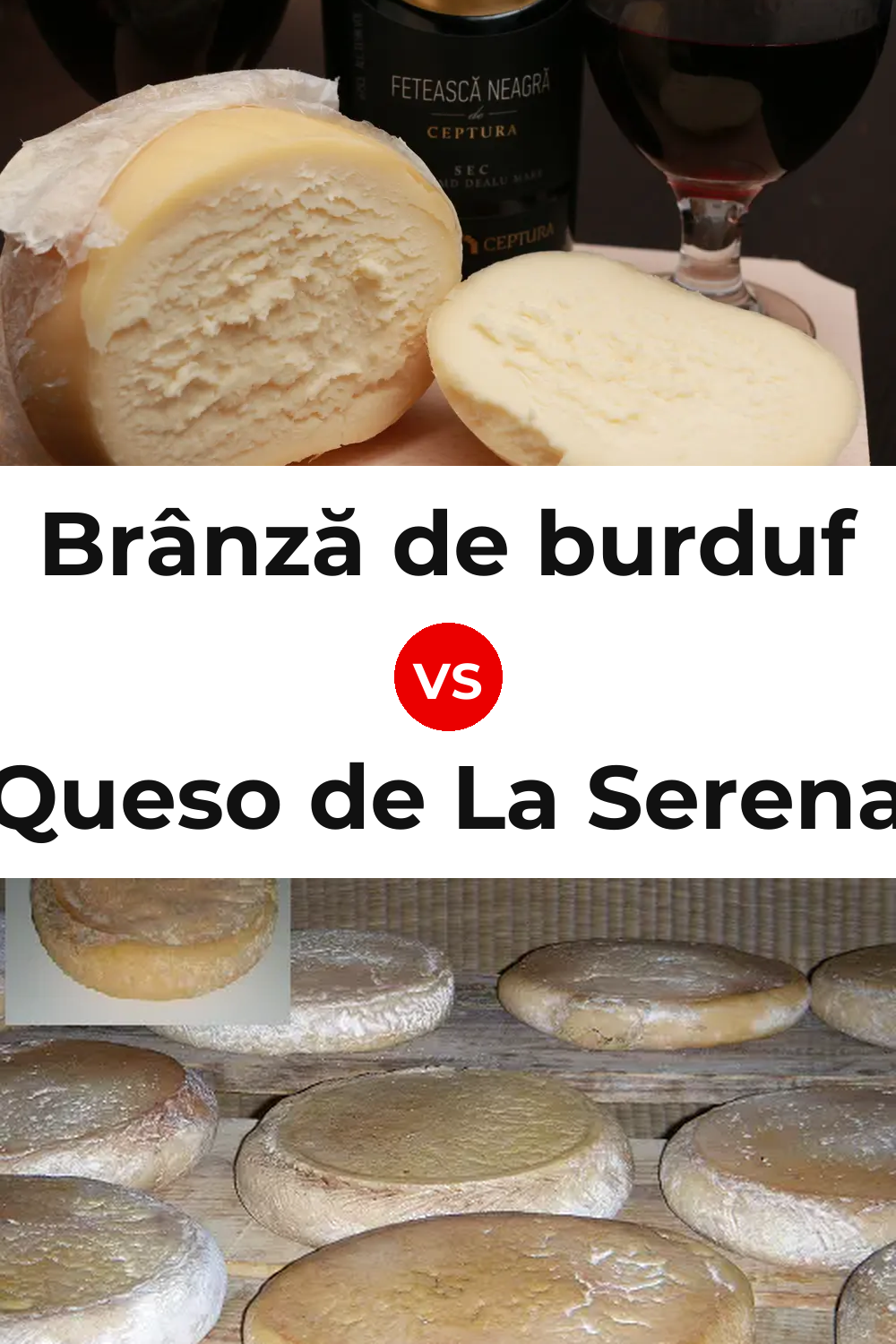 Brânză de burduf Cheese vs Queso de La Serena Pinterest comparison