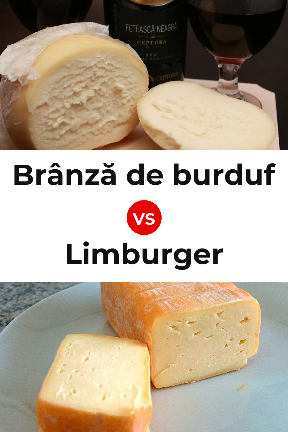 Brânză de burduf Cheese vs Limburger Cheese Pinterest comparison