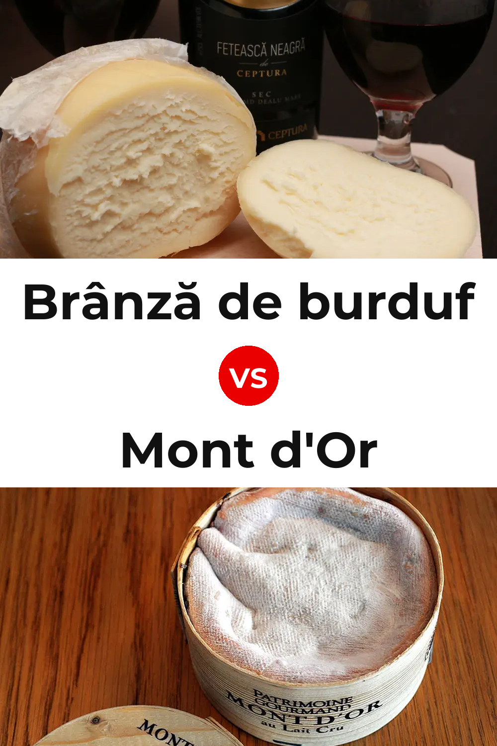 Brânză de burduf Cheese vs Mont d'Or Cheese Pinterest comparison