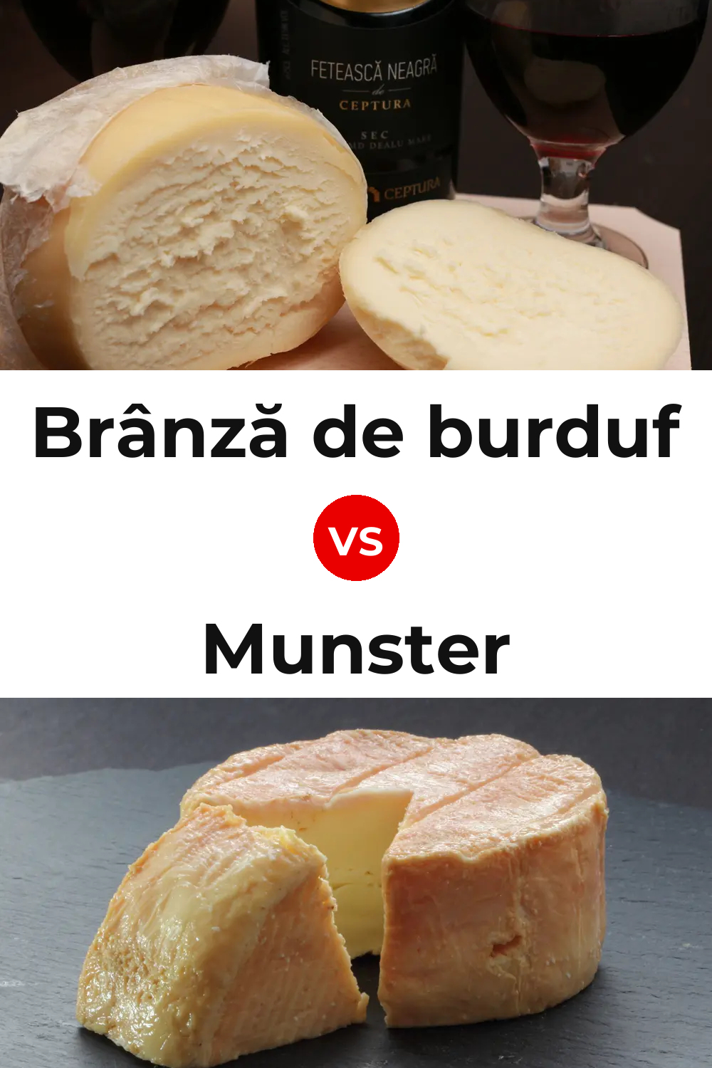 Brânză de burduf Cheese vs Munster Cheese Pinterest comparison