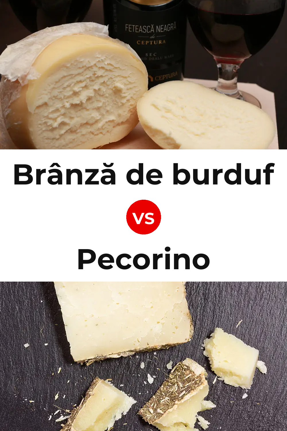 Brânză de burduf Cheese vs Pecorino Cheese Pinterest comparison