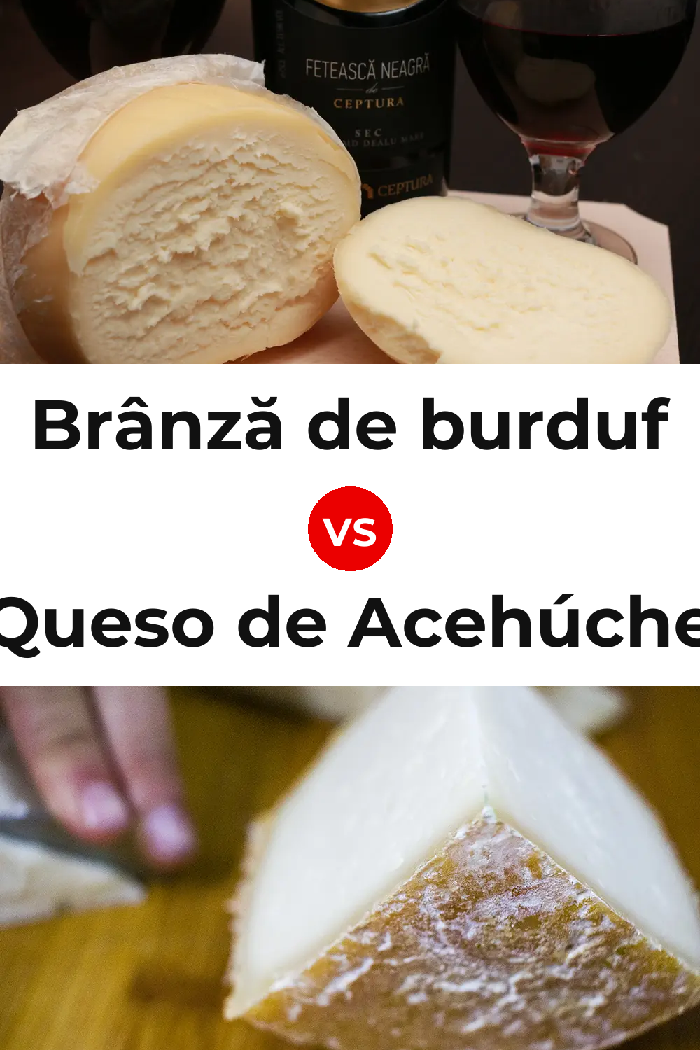 Brânză de burduf Cheese vs Queso de Acehúche Pinterest comparison