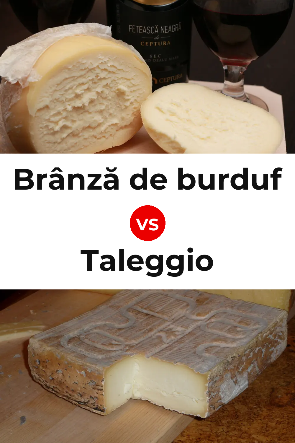 Brânză de burduf Cheese vs Taleggio Cheese Pinterest comparison