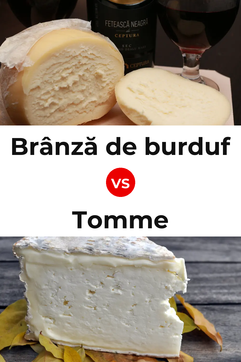 Brânză de burduf Cheese vs Tomme Cheese Pinterest comparison