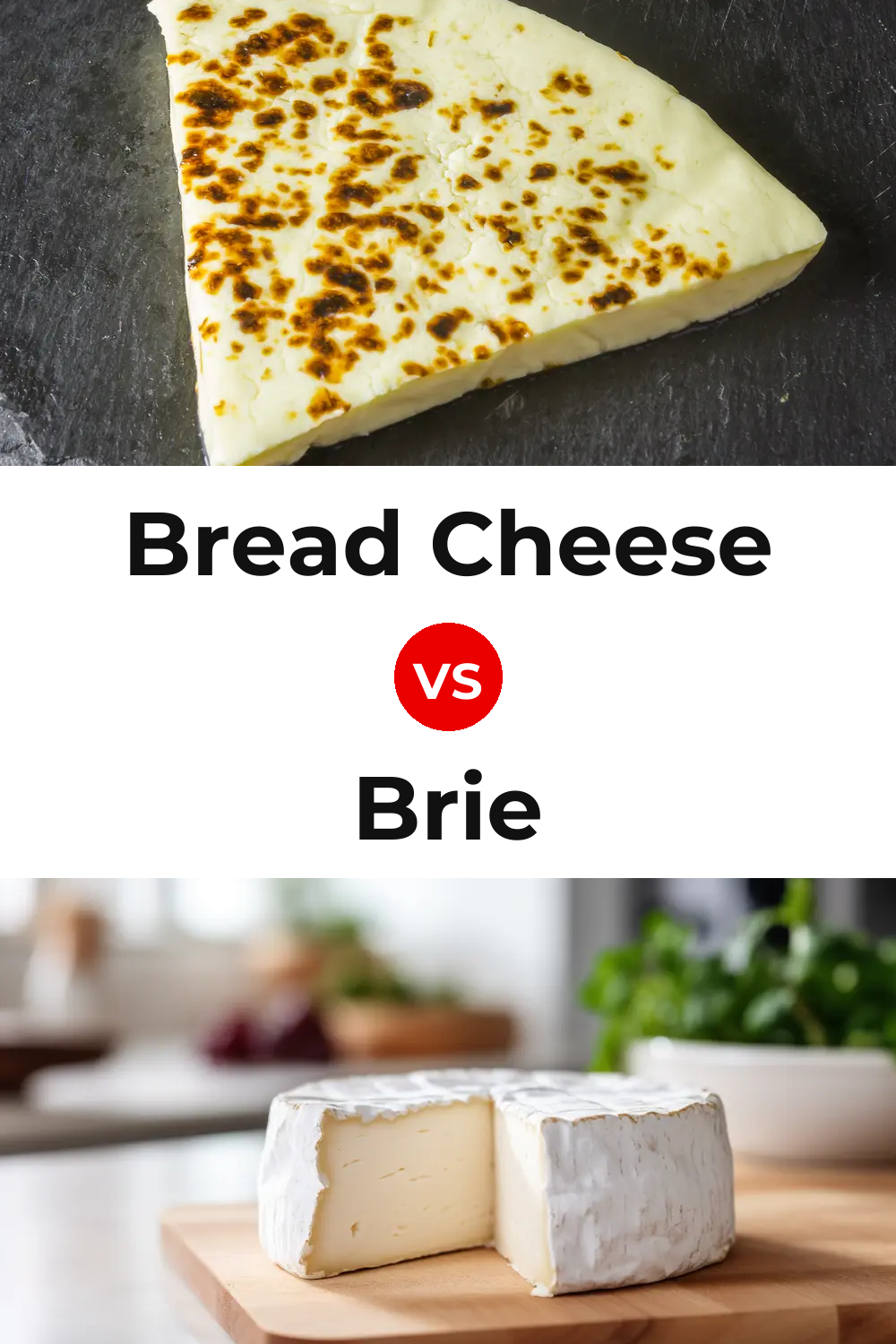 Bread Cheese vs Brie Cheese Pinterest comparison