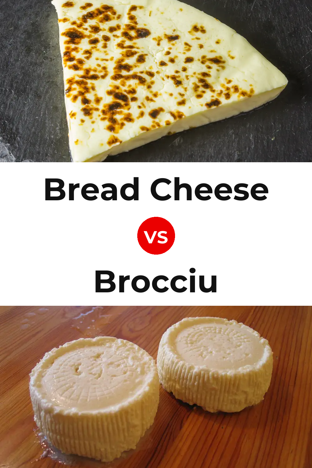Bread Cheese vs Brocciu Cheese Pinterest comparison