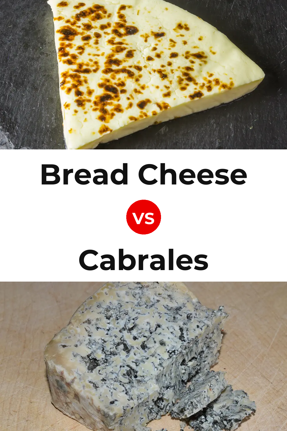 Bread Cheese vs Cabrales Cheese Pinterest comparison