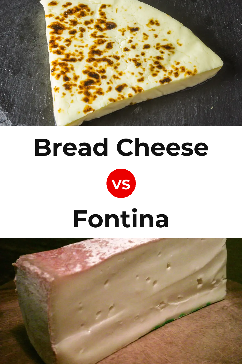 Bread Cheese vs Fontina Cheese Pinterest comparison