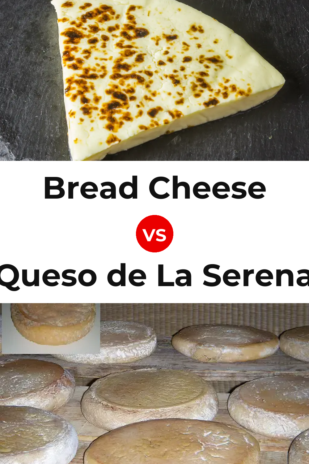 Bread Cheese vs Queso de La Serena Pinterest comparison