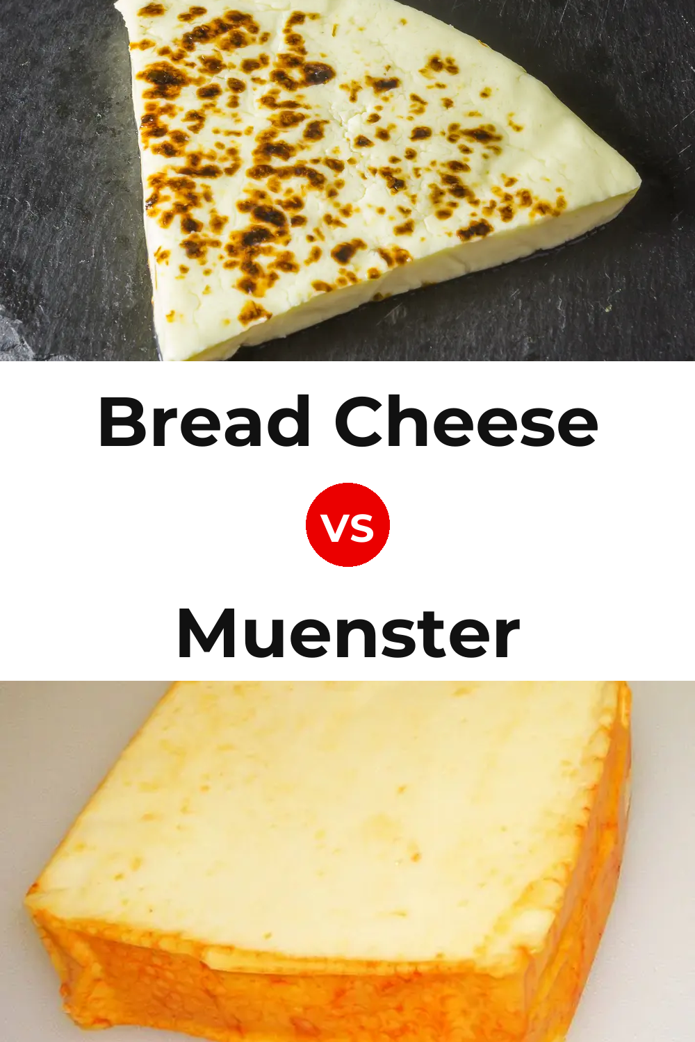 Bread Cheese vs Muenster Cheese Pinterest comparison