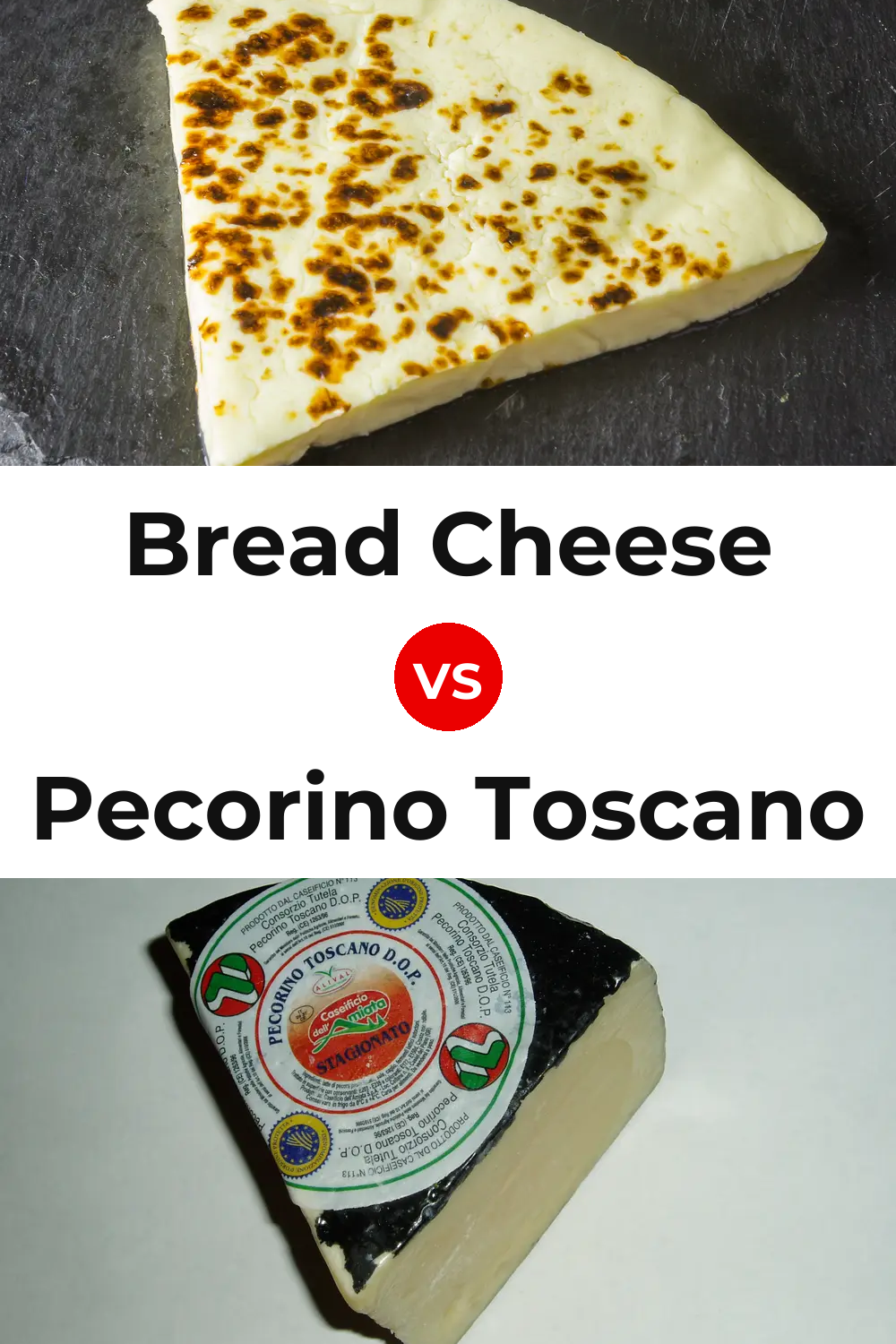 Bread Cheese vs Pecorino Toscano Cheese Pinterest comparison